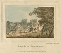Dandelion Noel 1797 | Margate History